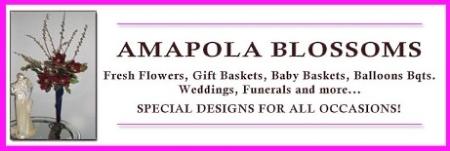 Amapola Blossoms - Prince George, BC V2L 3M2 - (250)596-9005 | ShowMeLocal.com